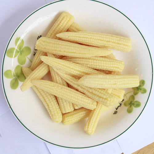 canned baby corn-CV-004